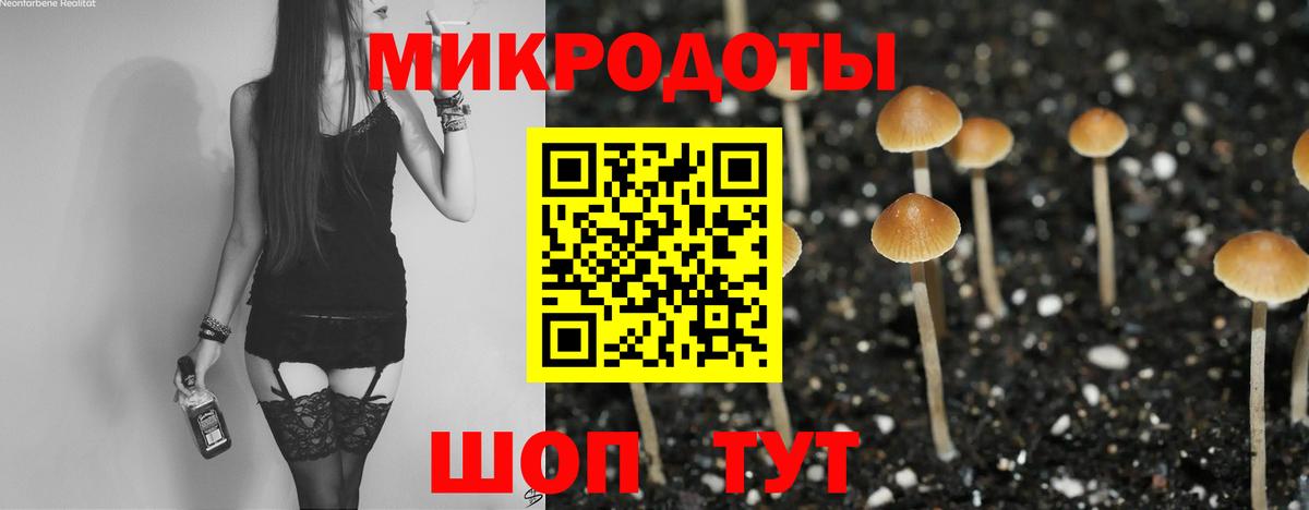 Галлюциногенные грибы прущие грибы  закладка  Борзя  Вход с VPN 